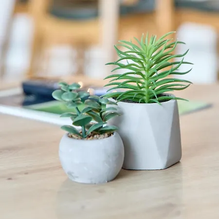 Lejlighed Gaestehaus Binz-meyer Heldensicht