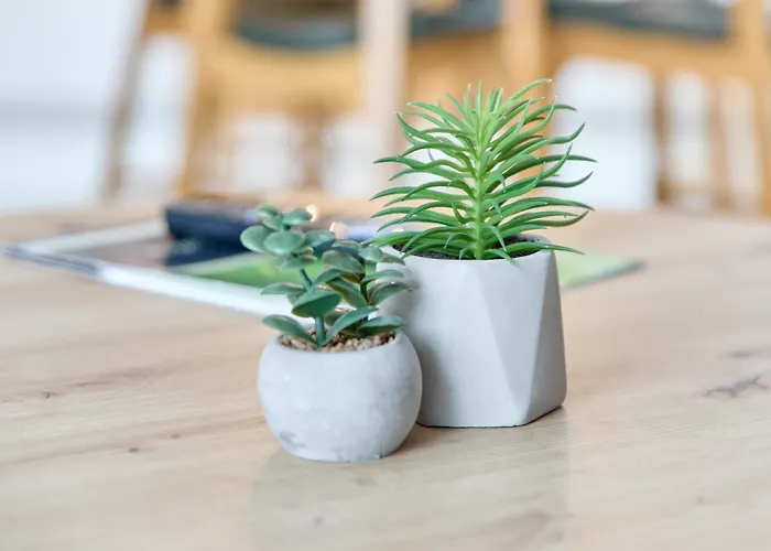 Apartment Gaestehaus Binz-meyer Heldensicht